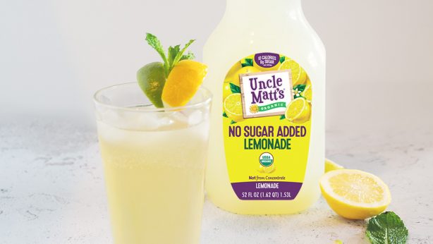 No Sugar Added Lemonade Moscow Mule