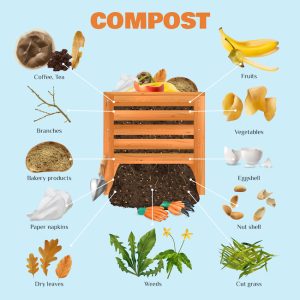 Compost Graphic