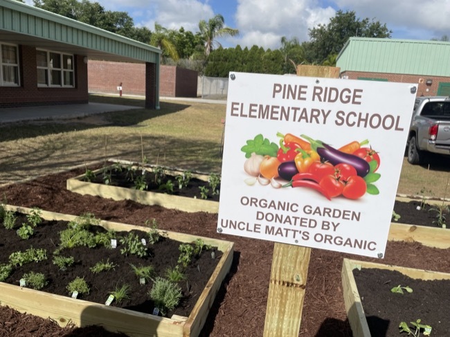 Pine Ridge Elementary School Garden